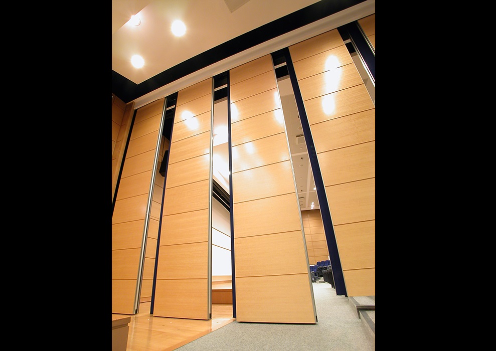 Faculty of Medicine – HKU