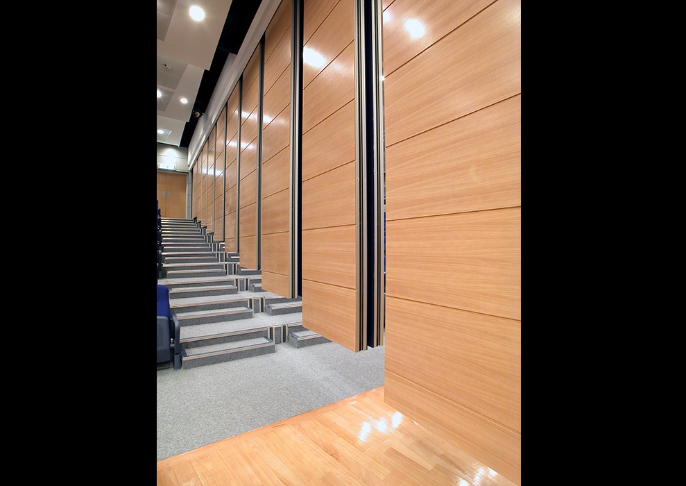 Faculty of Medicine – HKU